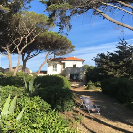 Appartement Charming With Garden And Sea View