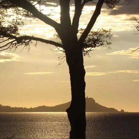 Appartement Charming With Garden And Sea View Saint Aygulf